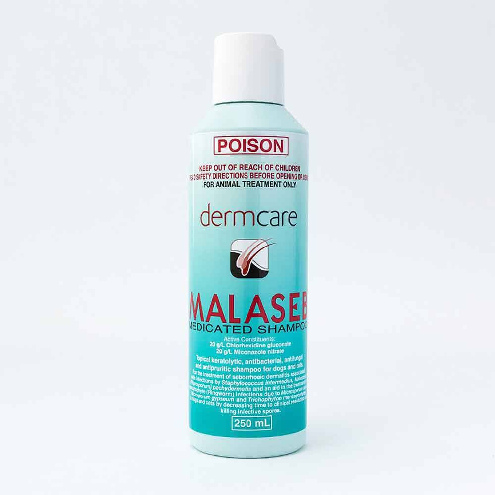 Dermcare Malaseb Medicated Shampoo For Dogs & Cats